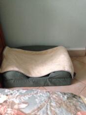 Omlet letto bolster in memory foam e coperta morbida
