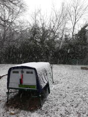 Un grande pollaio Cube in un giardino coperto di Snow