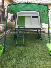 Il nostro nuovo assemblato Eglu Cube coop.