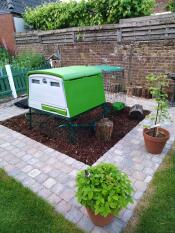 Un pollaio posto su trucioli di corteccia in un giardino ordinato