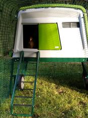 Omlet verde Eglu Cube grande pollaio e corsa