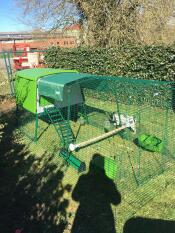 Un grande pollaio verde Cube in un giardino con una corsa attaccata e una copertura e un trespolo e ciotole di alimentazione