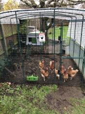 Le ragazze con la loro nuova casa. Eglu Cube mk 2