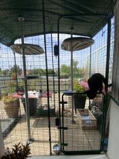 Copertura del balcone incollata alla facciata per l'accesso diretto attraverso una porta-finestra 