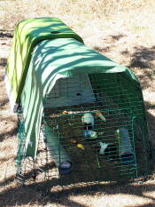 Una conigliera verde Go con una pista attaccata e coperture sopra con porcellini d'india all'interno