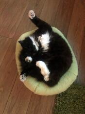 Ama così tanto il suo letto, che mi manca il mio gatto da salotto! 