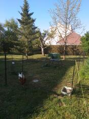 Un Go pollaio dietro un recinto per polli con due polli in un giardino
