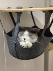 Un gatto bianco e grigio che fa un sonnellino nell'amaca del suo albero di gatto interno