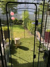 Grande recinto per gatti con portico d'ingresso😻😻😻