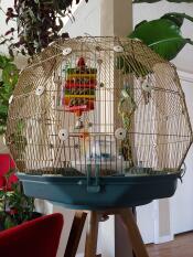 Omlet Geo gabbia per uccelli con gabbia Gold, base e gambe teal