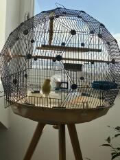 Una gabbia per uccelli Omlet Geo .