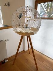 Omlet Geo gabbia per uccelli con gabbia bianca, base crema e gambe alte