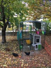 Una passerella con una porta automatica per la coop attaccata ad essa