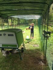 Gwen nel nostro recinto di 18 metri!