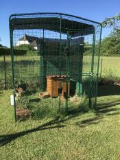 Omlet catio in giardino