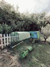Un pollaio e il suo percorso, coperto da un'ombra estiva
