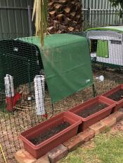 Omlet verde Eglu Cube grande pollaio e corsa con copertura