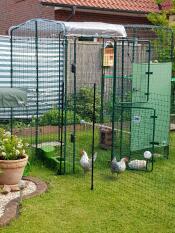 Una passeggiata in esecuzione con polli all'interno e pollo recinzione e mangiatoie
