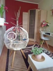 Omlet Geo gabbia per uccelli con gabbia bianca, base crema e gambe piccole in soggiorno