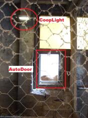 Luce coop e Autodoor