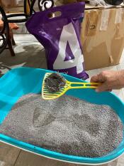 Omlet lettiera per gatti 4 clay cat litter clumping