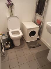 Una lettiera per gatti in un bagno