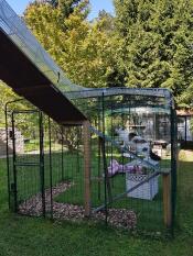 Una grande passeggiata in pista allestita per un gatto con un tunnel Going ad esso