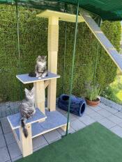 Una piattaforma rialzata per gatti all'interno di un catio Omlet 