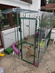 Omlet cavia walk in run