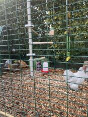 Un palo con posatoi per polli e altri accessori in una grande pista