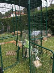 La porta aperta di una passeggiata verde con una copertura in un giardino