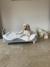 Henry ama il suo letto per cani, specialmente il topper di pelliccia! 
