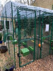 Lato cavia della pista
