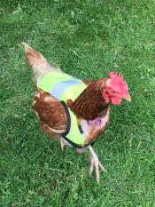 Chicka è adorabile nella sua nuova giacca