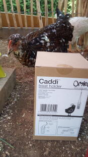 Il Caddi porta dolcetti per polli di Omlet.