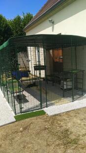 Un grande recinto per gatti con molte coperture per proteggerli dal sole, dal vento e dalla pioggia.