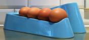Una rampa di uova blu su una superficie di lavoro Golden