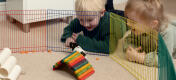 Due bambini che guardano un criceto in un recinto con dei giocattoli colorati.