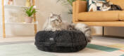 La cuccia Mochi si modella sul corpo del gatto e sprofondano nel cuscino, come Sammy che pesa 5kg.