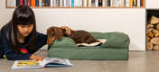 Un cane sbircia il libro della bambina mentre è steso su una cuccia Bolster in memory foam verde salvia