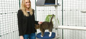Ragazza che accarezza il suo gatto che sta giocando sull'albero del gatto all'aperto Freestyle 