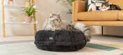 La cuccia Mochi si modella sul corpo del gatto e sprofondano nel cuscino, come Sammy che pesa 5kg.