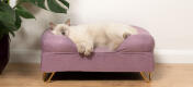 Carino gatto bianco birichino che dorme sul letto a bolster per gatti in memory foam lilla lavanda con Gold hairpin feet