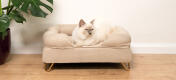 Carino gatto bianco soffice seduto su letto naturale beige gatto bolster con Gold piedi tornanti