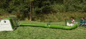 Bambini che giocano con i conigli in Omlet coniglio Zippi playpen con Omlet verde Eglu Go conigliera e Omlet Zippi tunnel
