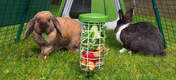 Il dispenser Caddi per conigli consente di dar da mangiare agli animali in modo igienico perché tiene il cibo lontano da terra