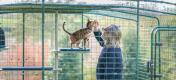 Un uomo e un gatto in un recinto esterno che si godono la struttura per gatti personalizzata