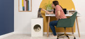 Gatto seduto all'interno Maya casa del gatto mentre il gatto seduto sulla parte superiore sta ottenendo il fuss da signora