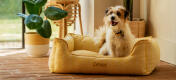 Un terrier su una cuccia con nido di polline a nido d'ape.