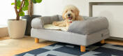 Cane bianco che dorme su un letto per cani in memory foam grigio Omlet e tappetino di raffreddamento